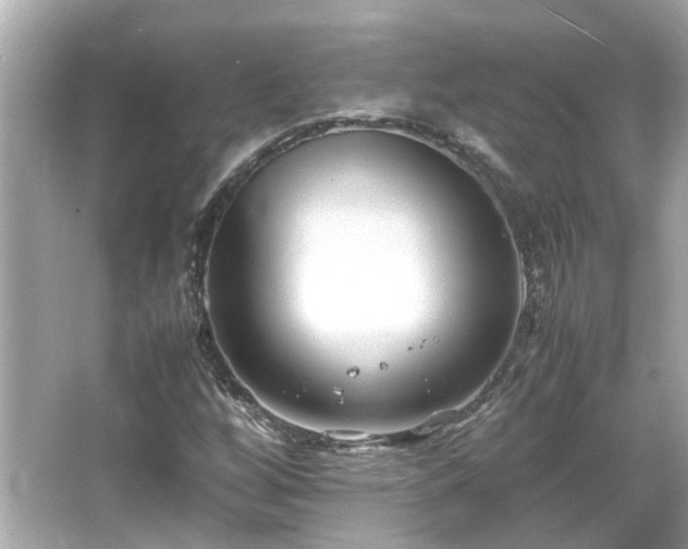 X0000066101256200603131221