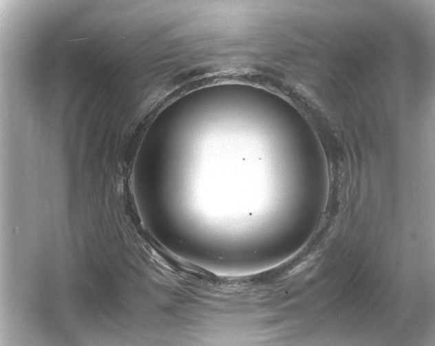 X0000066101257200603131221