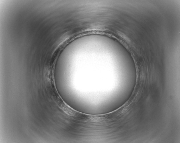 X0000066101258200603131221