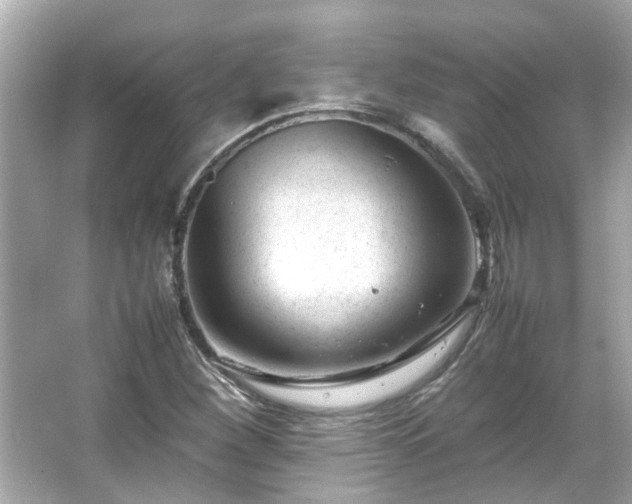 X0000066101260200603131221