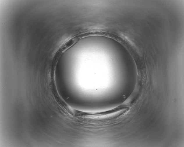 X0000066101261200603131220