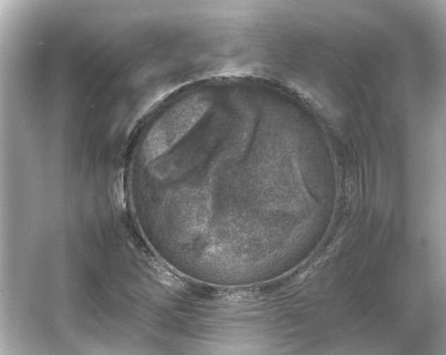 X0000066101262200603131220