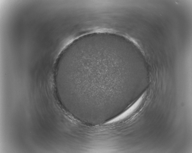 X0000066101263200603131220