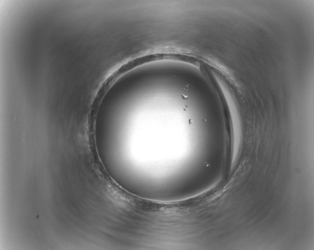 X0000066101264200603131220