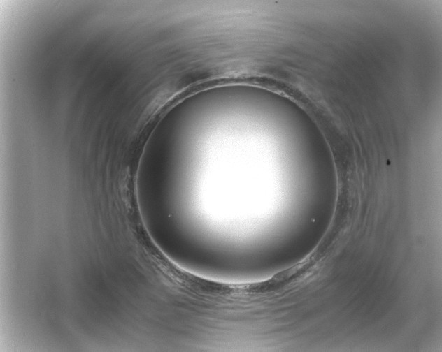 X0000066101265200603131220