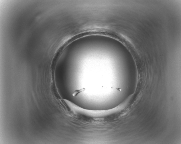 X0000066101267200603131220