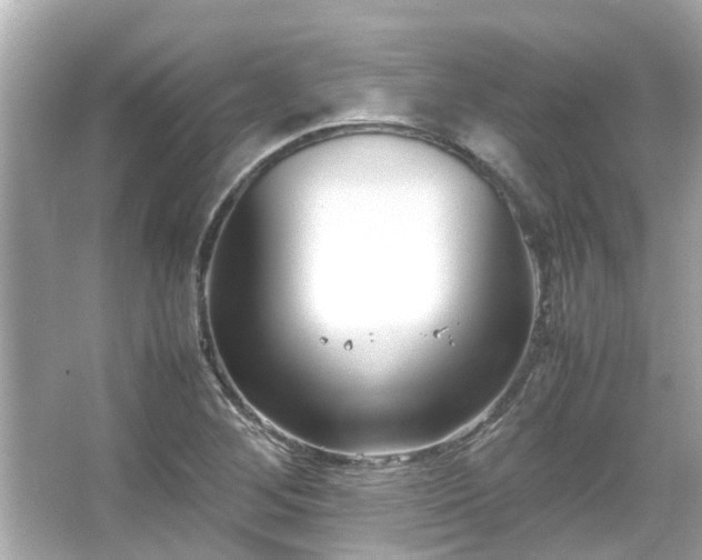 X0000066101268200603131220