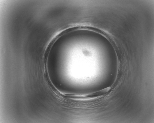 X0000066101271200603131220