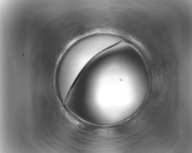 X0000066101272200603131220