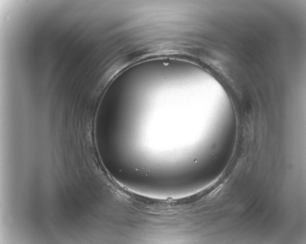 X0000066101273200603131220