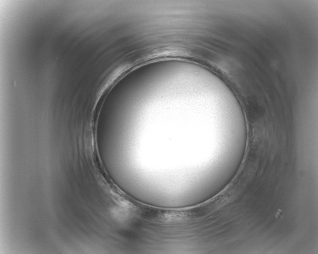 X0000066101274200603131220