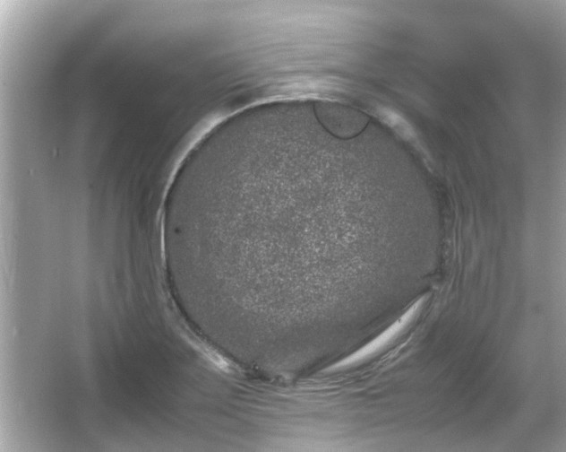 X0000066101275200603131220