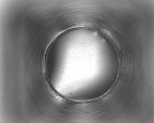 X0000066101276200603131220