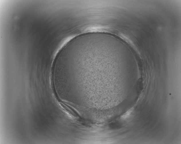 X0000066101277200603131220