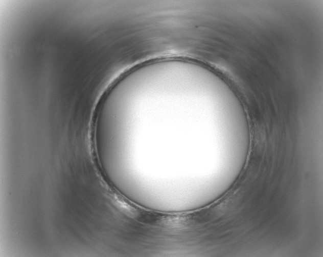 X0000066101278200603131220