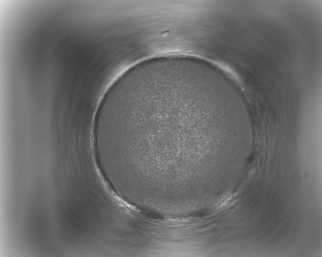 X0000066101279200603131220