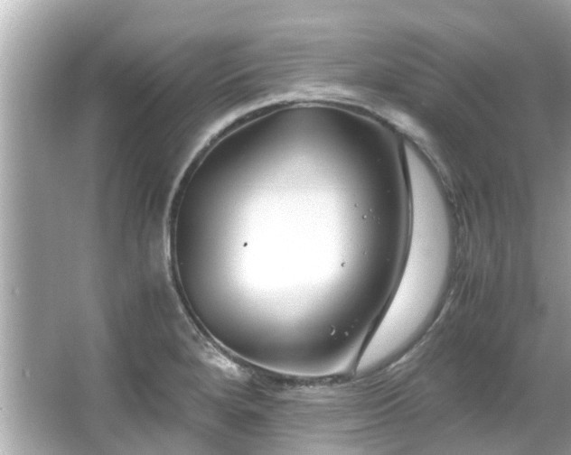 X0000066101280200603131220