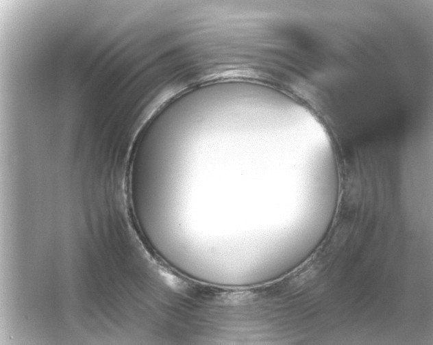 X0000066101282200603131220