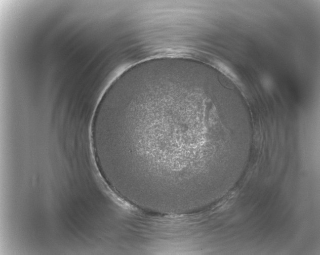 X0000066101283200603131220