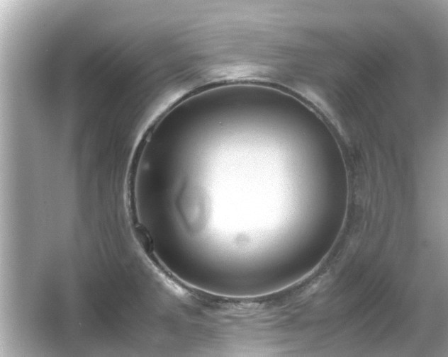 X0000066101285200603131220