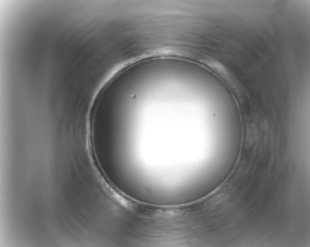 X0000066101286200603131220