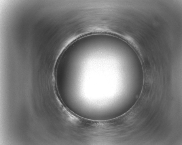 X0000066101287200603131220