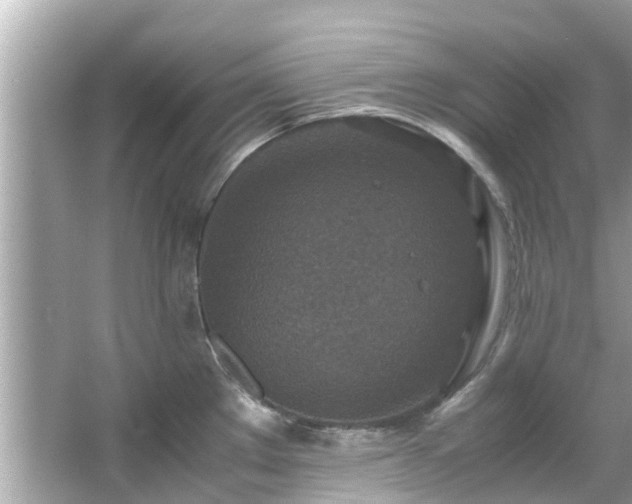 X0000066101289200603131220