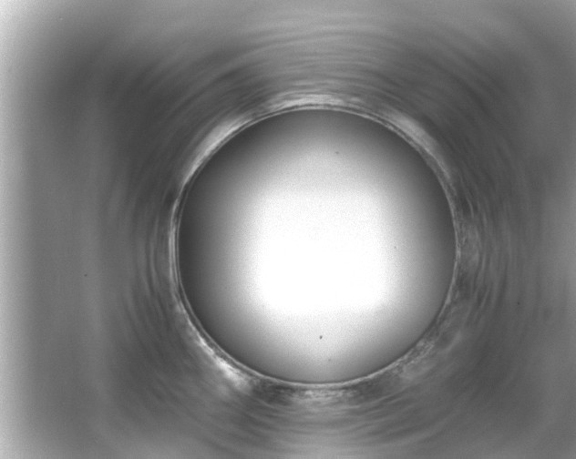 X0000066101290200603131220