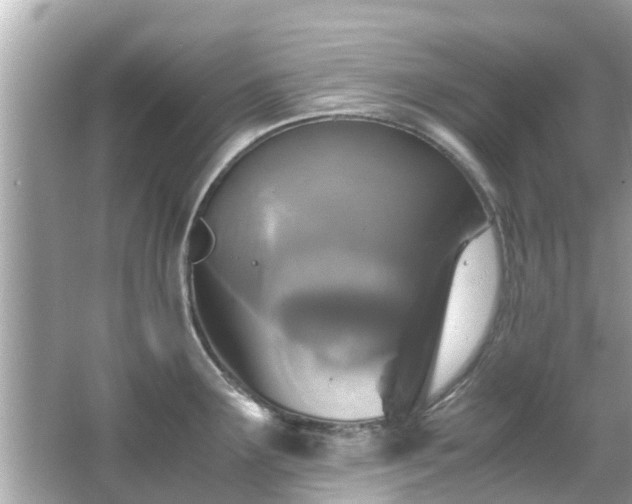 X0000066101291200603131220