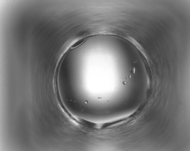 X0000066101293200603131220