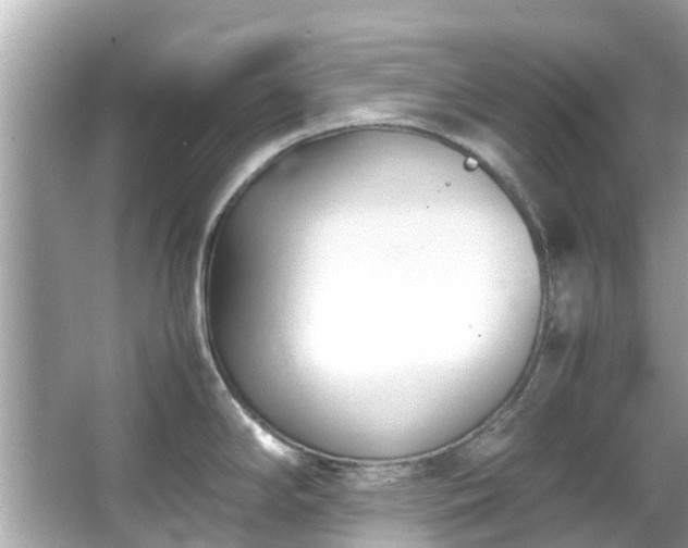 X0000066101294200603131220