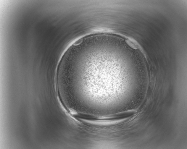 X0000066101295200603131220