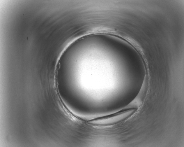 X0000066101296200603131220