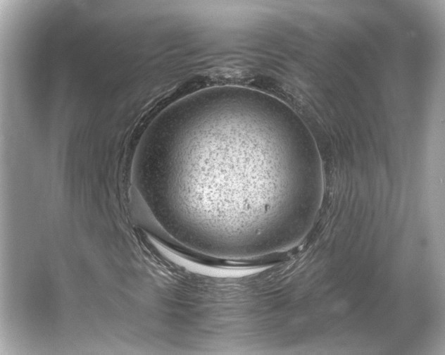 X0000066101297200603131219