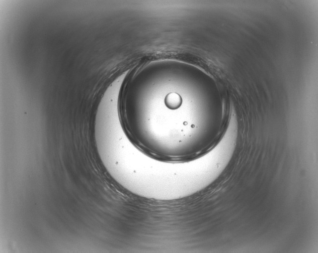 X0000066101300200603131219