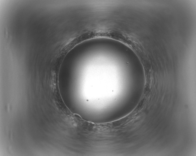 X0000066101301200603131219