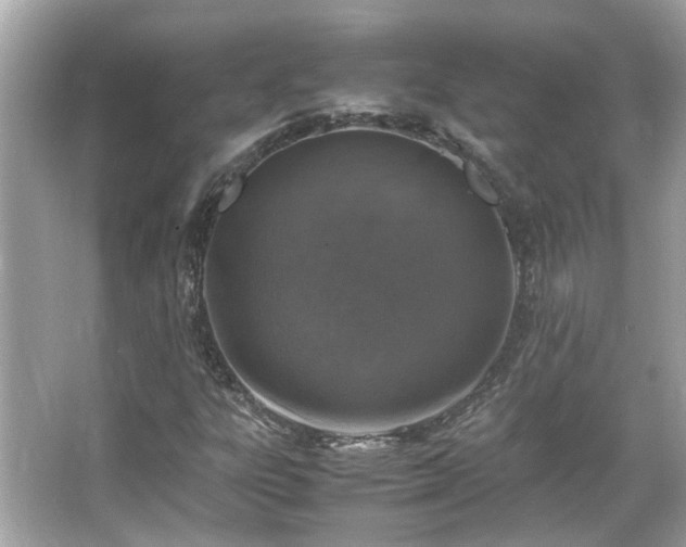 X0000066101303200603131219