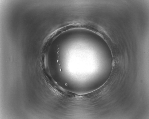 X0000066101304200603131219