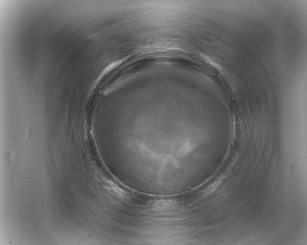 X0000066101306200603131219