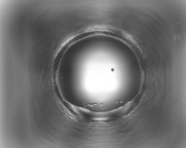 X0000066101312200603131219