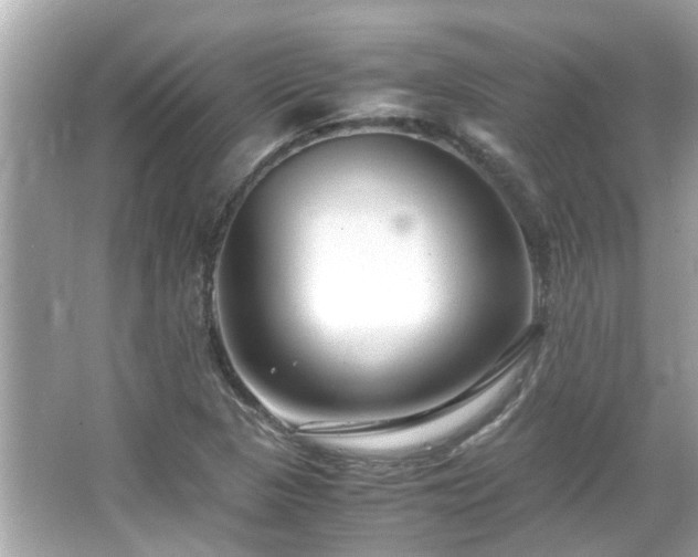 X0000066101313200603131219