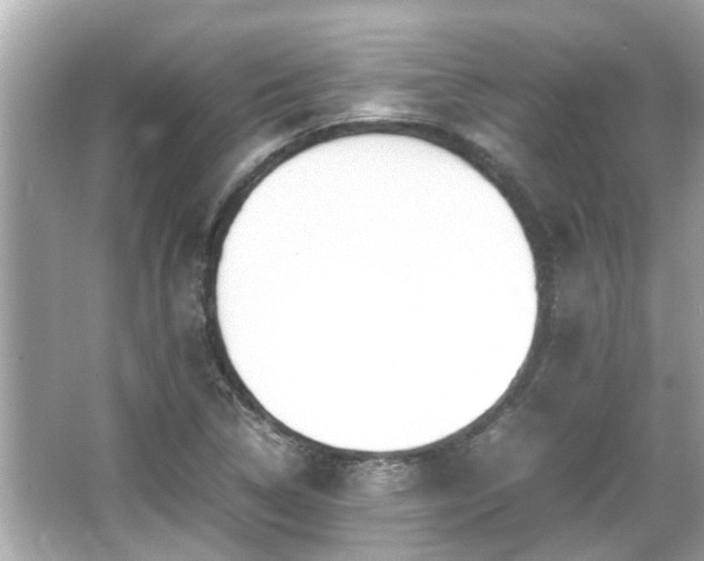 X0000066101314200603131219