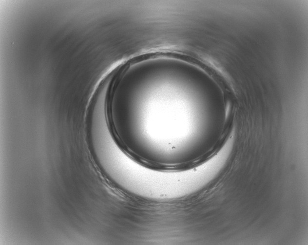 X0000066101316200603131219