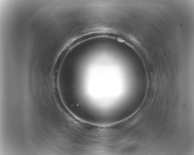 X0000066101318200603131219