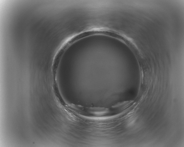 X0000066101319200603131219