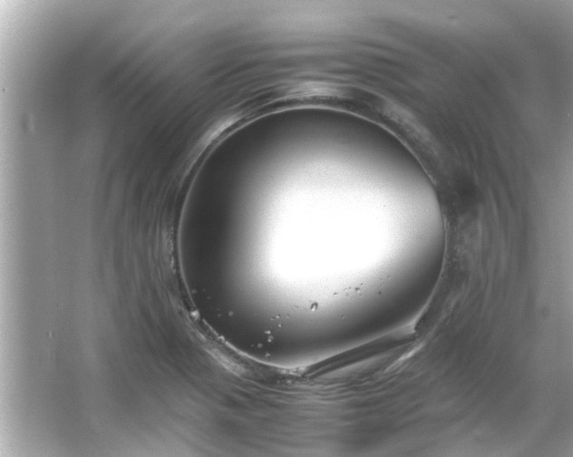 X0000066101321200603131219