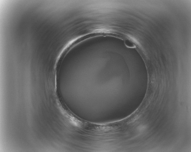 X0000066101323200603131220