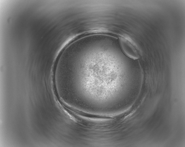 X0000066101325200603131220