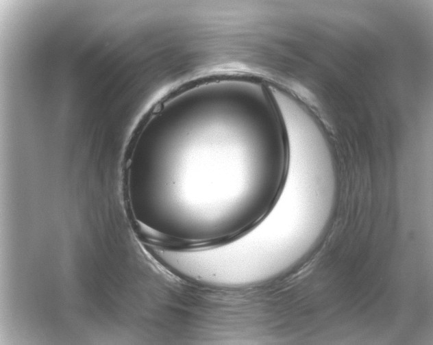 X0000066101326200603131220