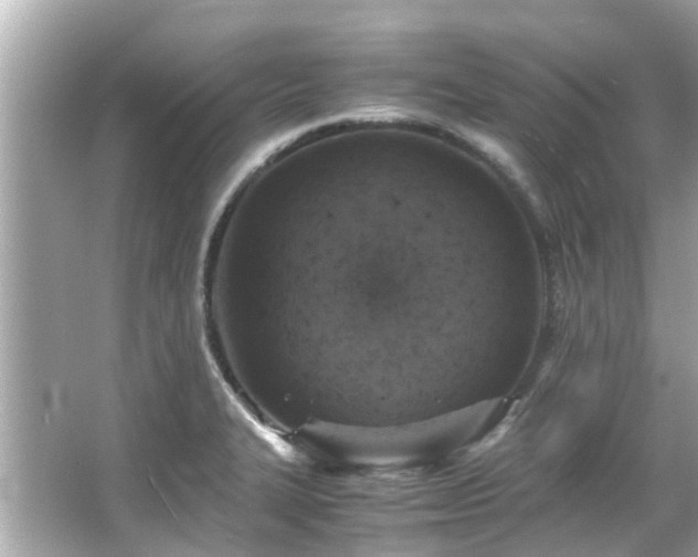 X0000066101327200603131220